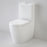 Caroma Urbane Cleanflush Wall Faced Toilet Suite - PeakReno