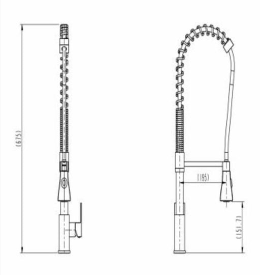 Blaze Vege Spray Kitchen Sink Mixer - PeakReno