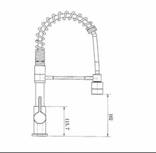 Roma Minimalist Gooseneck Vege Spray Kitchen Sink Mixer - PeakReno